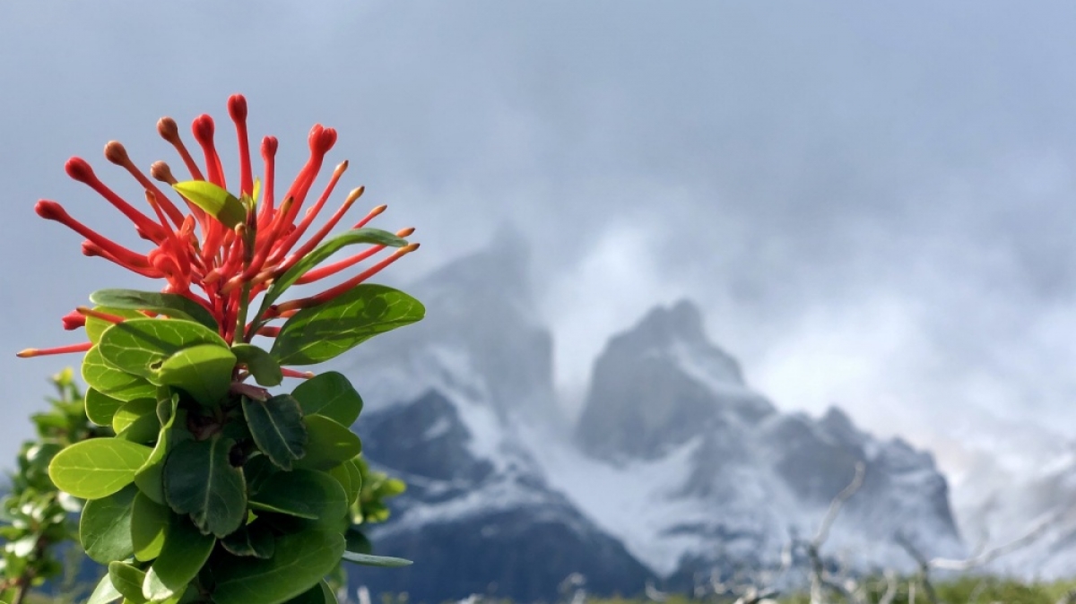 Фото: subherwal, visualhunt.com