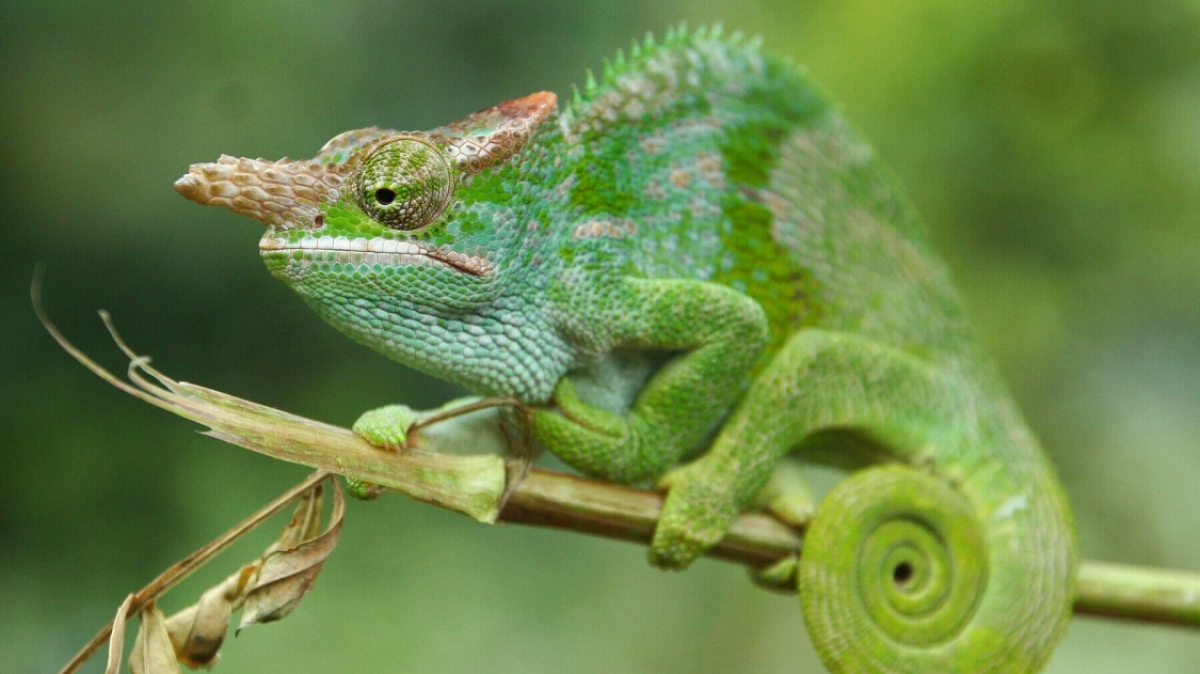 Фото: imke.sta, visualhunt.com