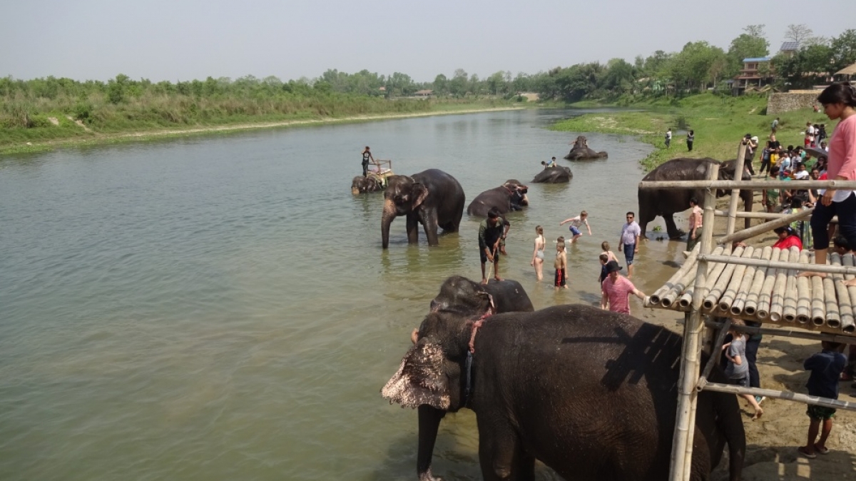 Фото из архива Клуба