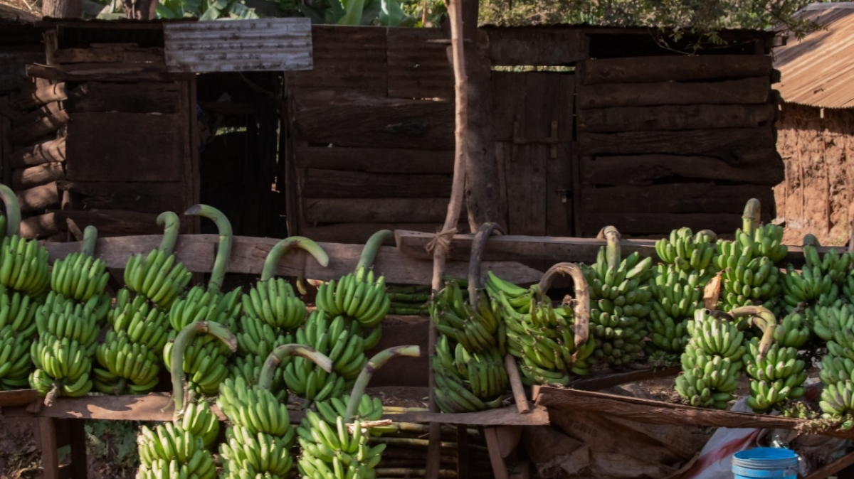 Фото: MARIOLA GROBELSKA, unsplash.com