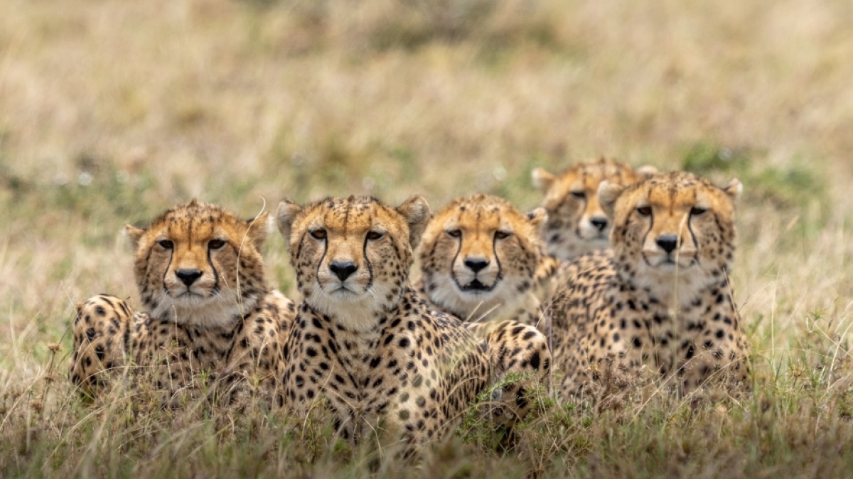 Фото: Ahmed Galal, unsplash.com