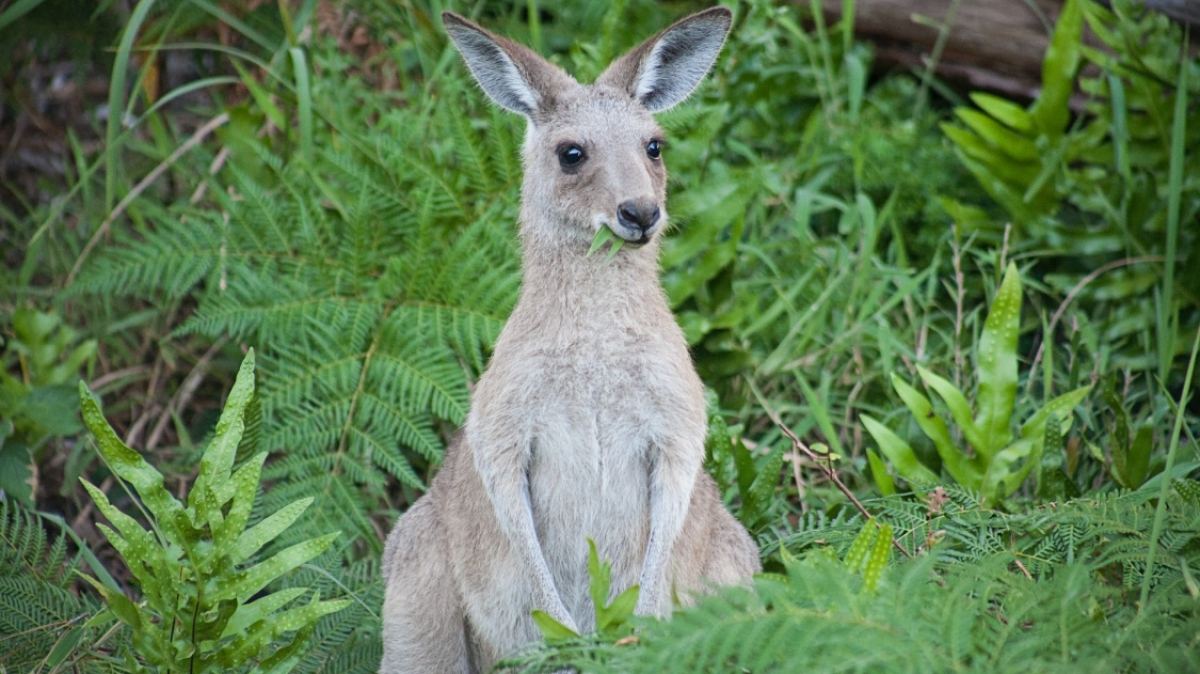 Фото: 
Marcus Byrne, unsplash.com