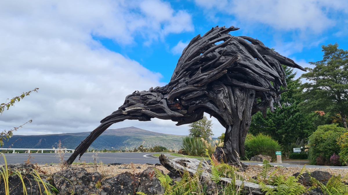 Фото наших партнеров JustGo ThereNZ