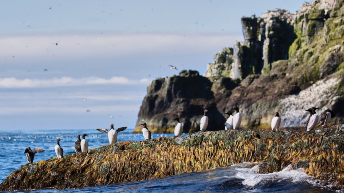 Фото из архива Клуба