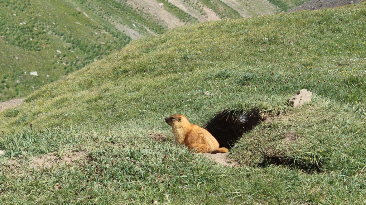 Из архива Клуба