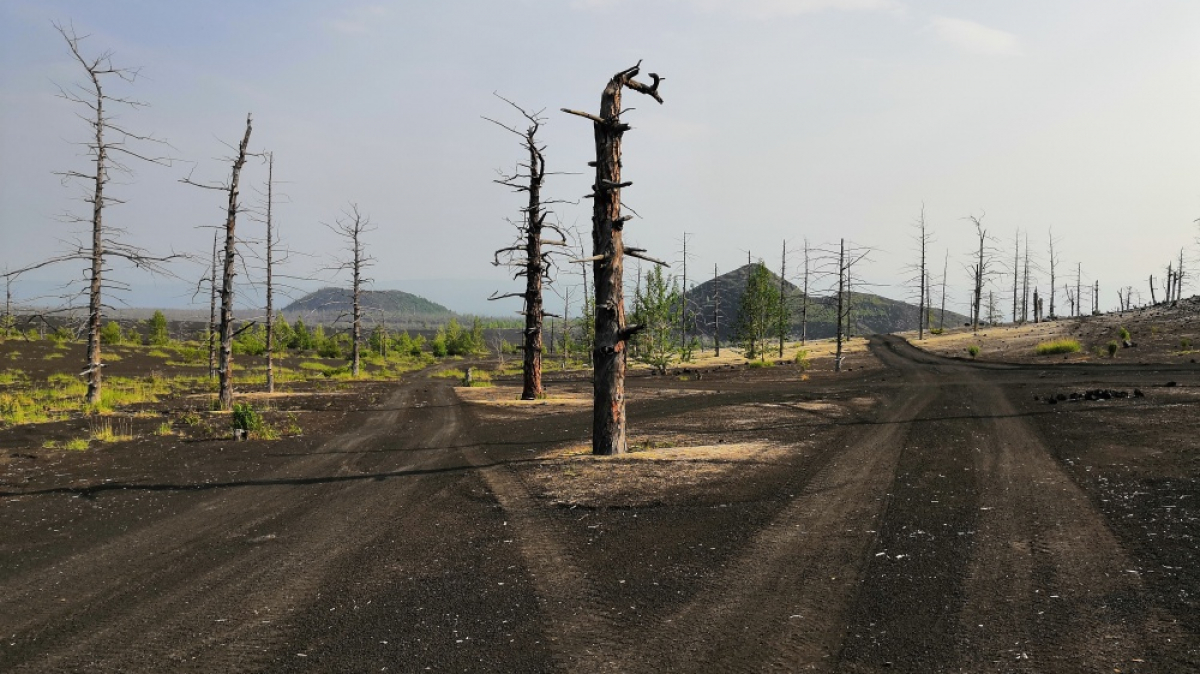 Фото нашей Странницы Татьяны Парцей 