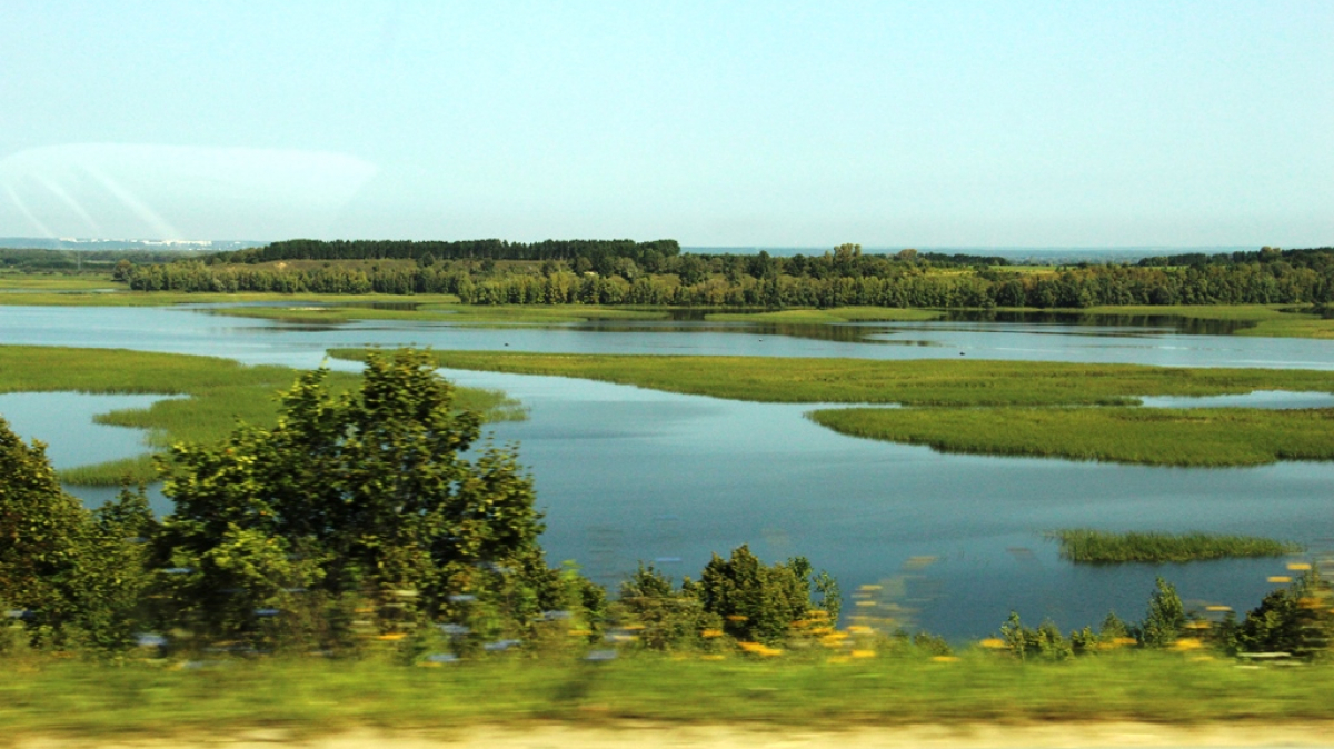 Фото Вероники Кузенковой