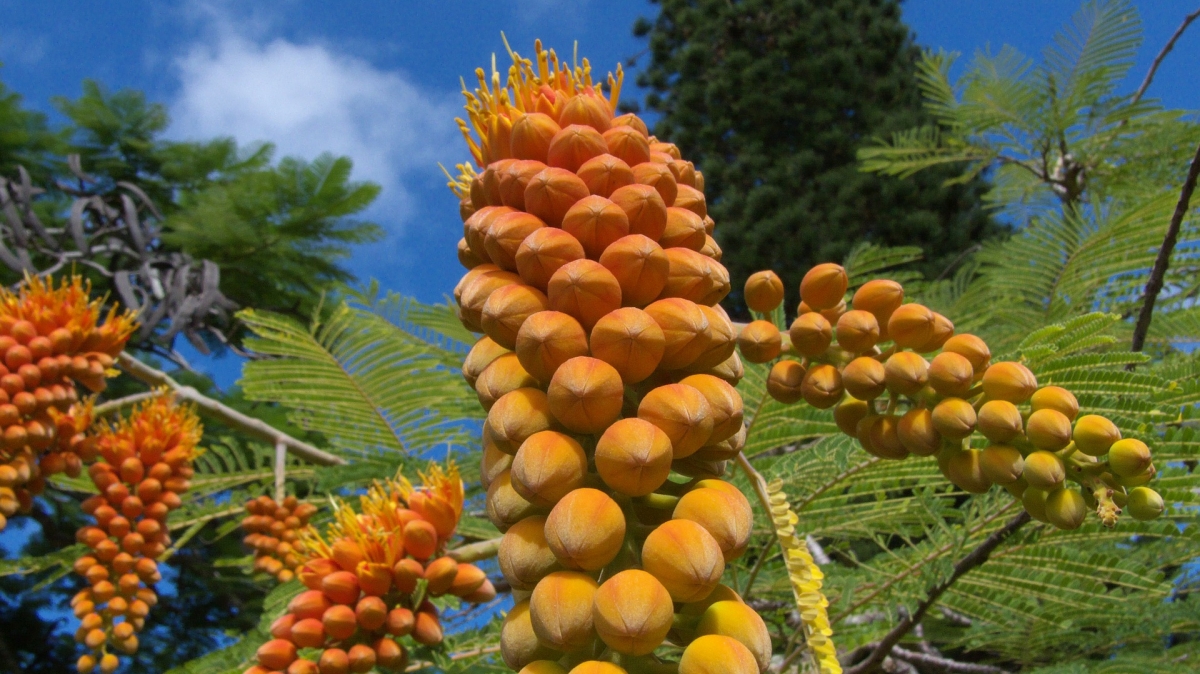 Источник: visualhunt.com