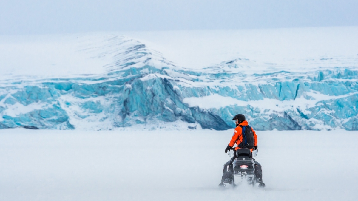 Фото: Сергей Доля
