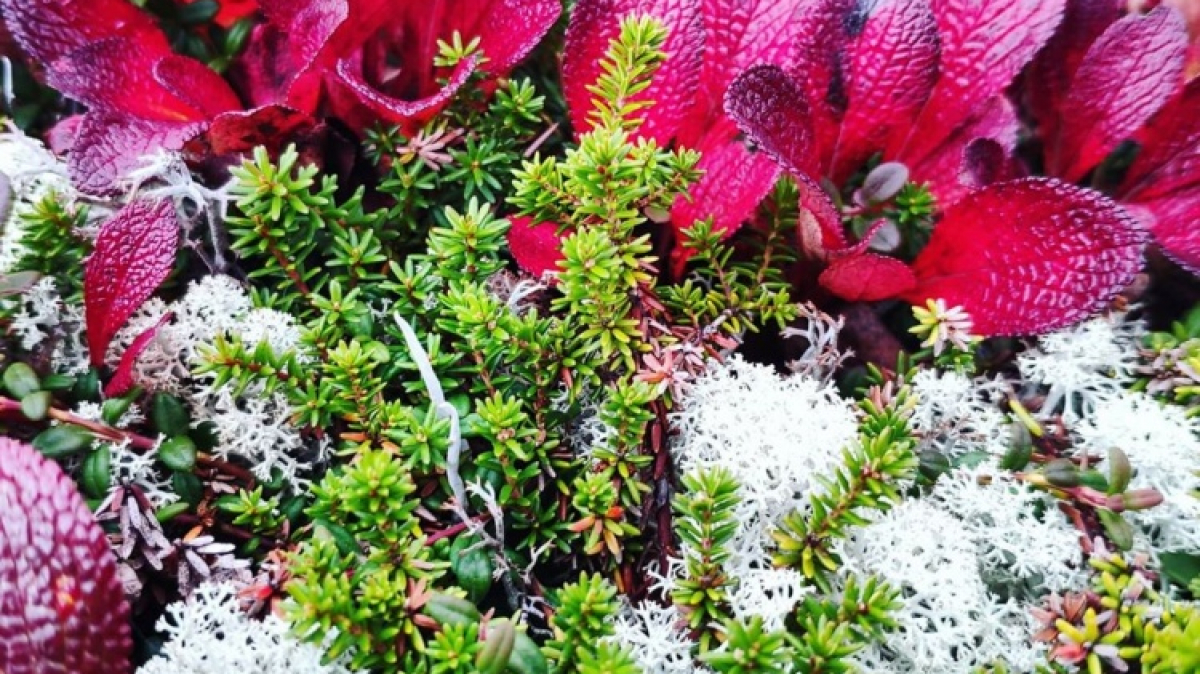 Фото нашего гида Евгении Скопиной