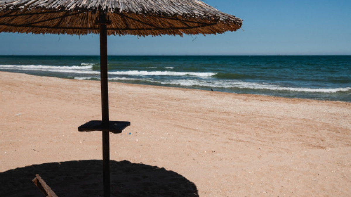 Фото: Anton Rybakov, unsplash.com