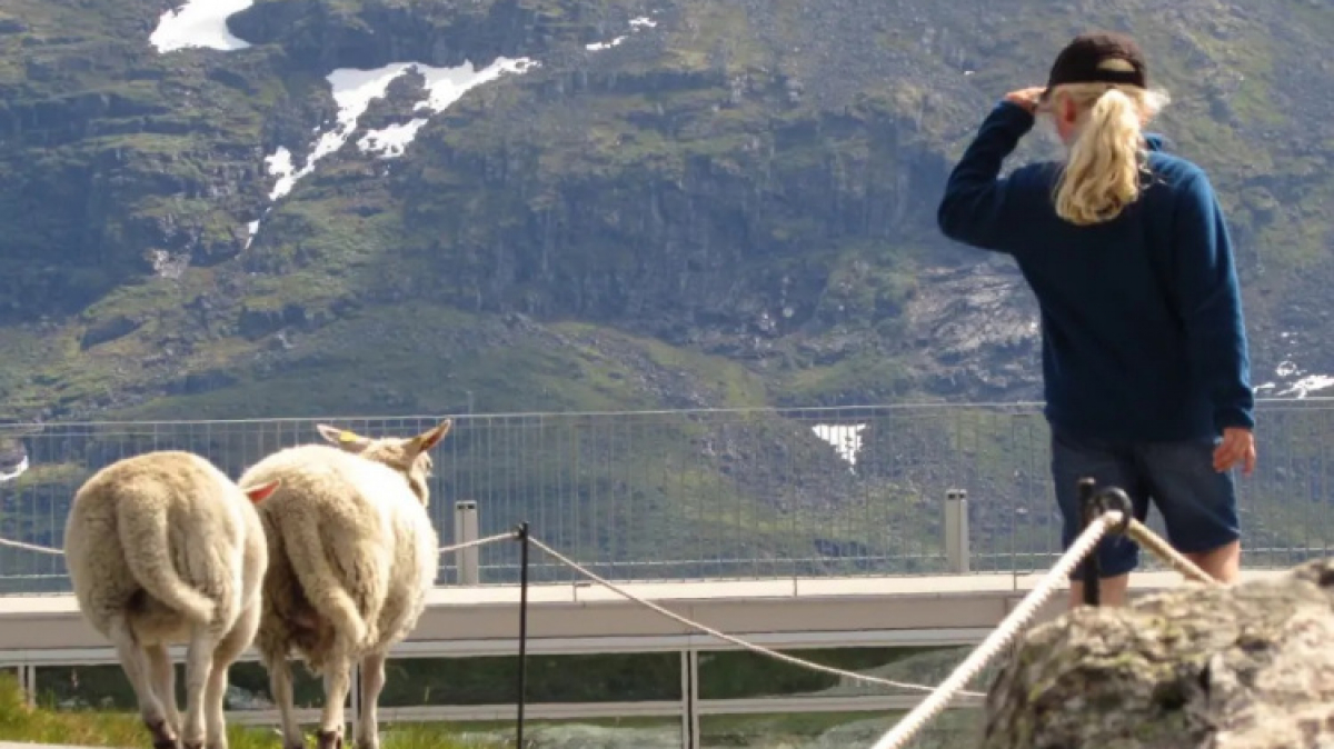 Фото нашего гида Лики Майстровой