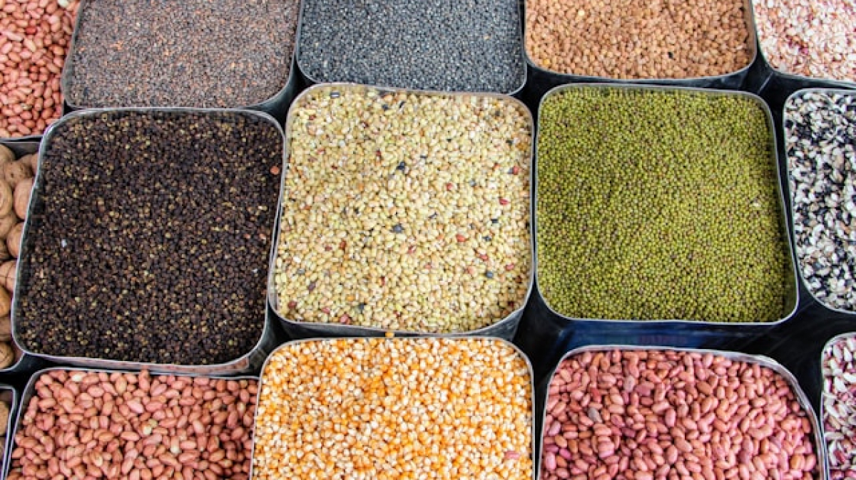 Фото: Yoav Farhi, unsplash.com