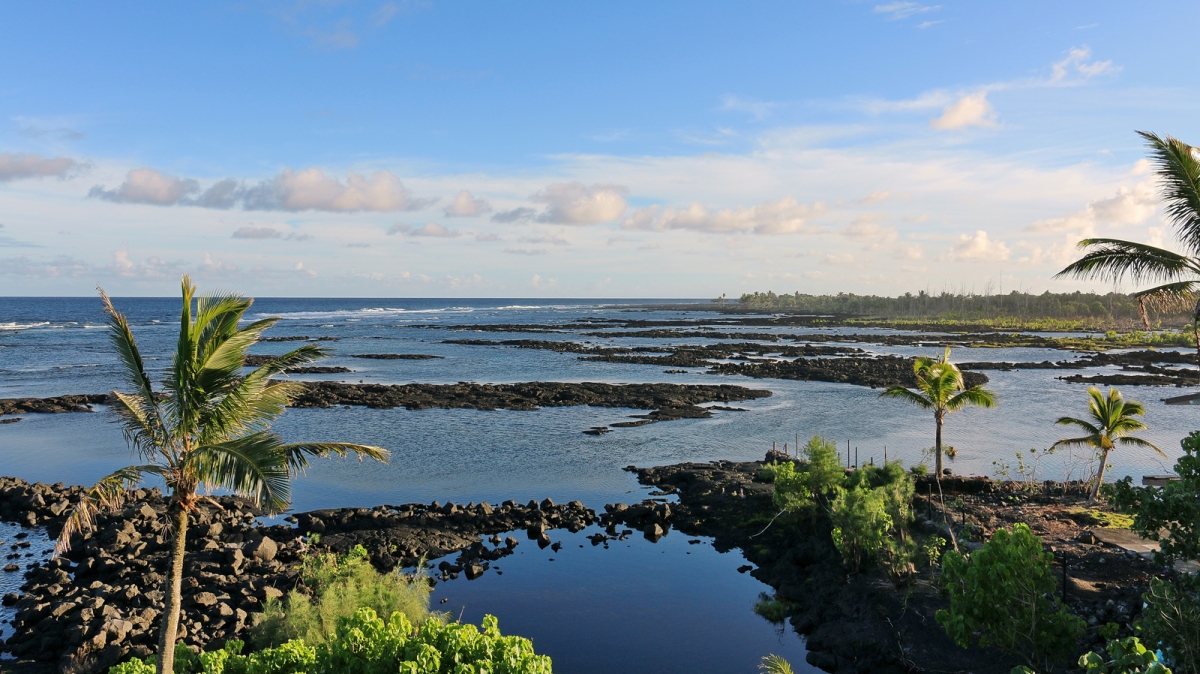 Капохо, автор: Bob Linsdell. Источник: visualhunt.com