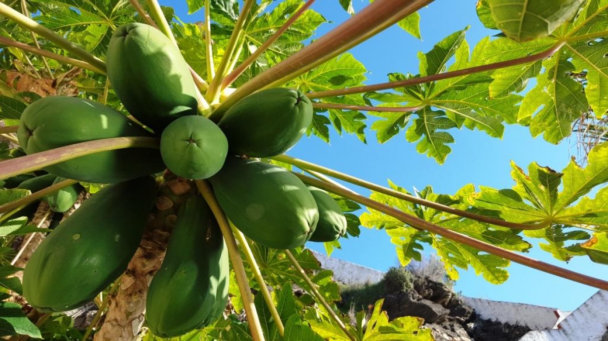 Фото нашего гида Марины Билаловой