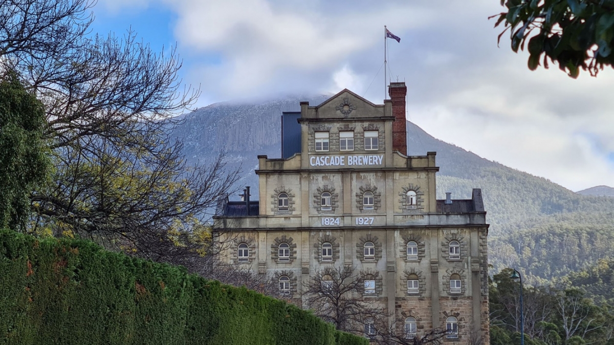 Фото: Nico Smit, unsplash.com