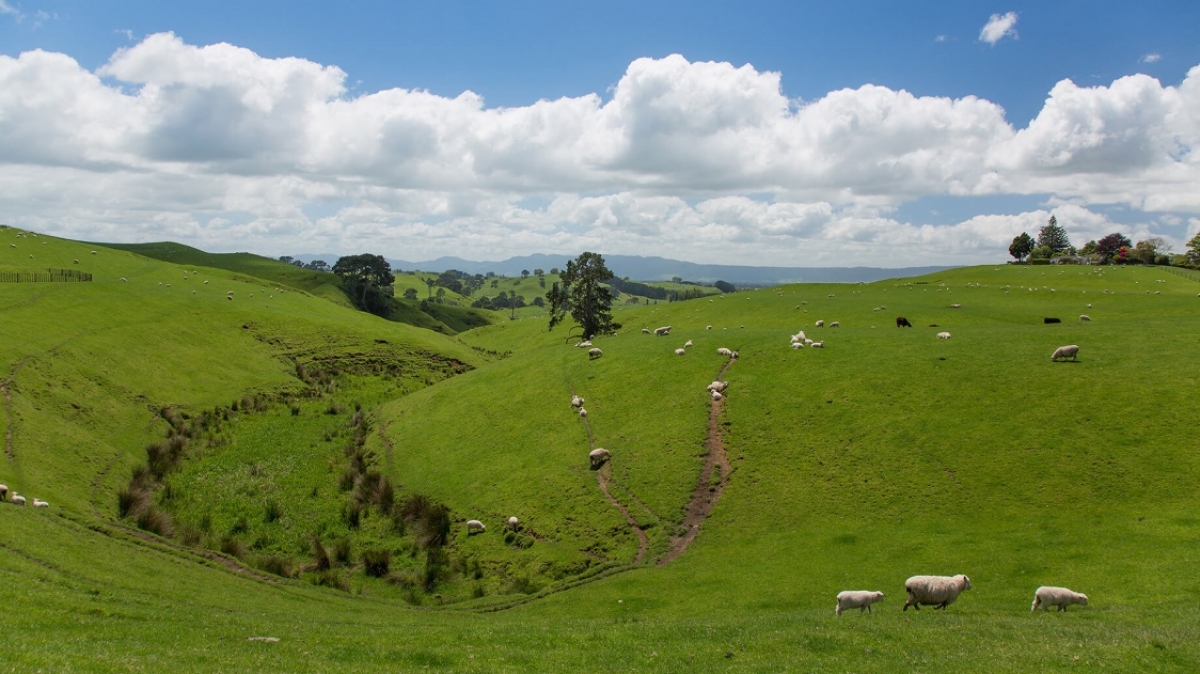 Фото нашей Странницы Татьяны Руновой
