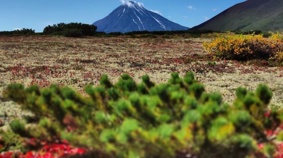 Фото нашего гида Евгении Скопиной