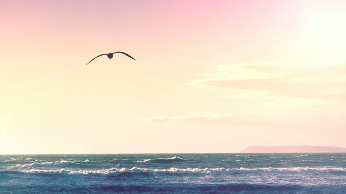 Фото: Matthew Fournier, unsplash.com