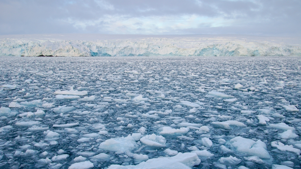 Автор: Rob Oo, visualhunt