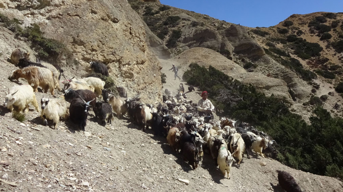 Фото нашего гида Лики Майстровой