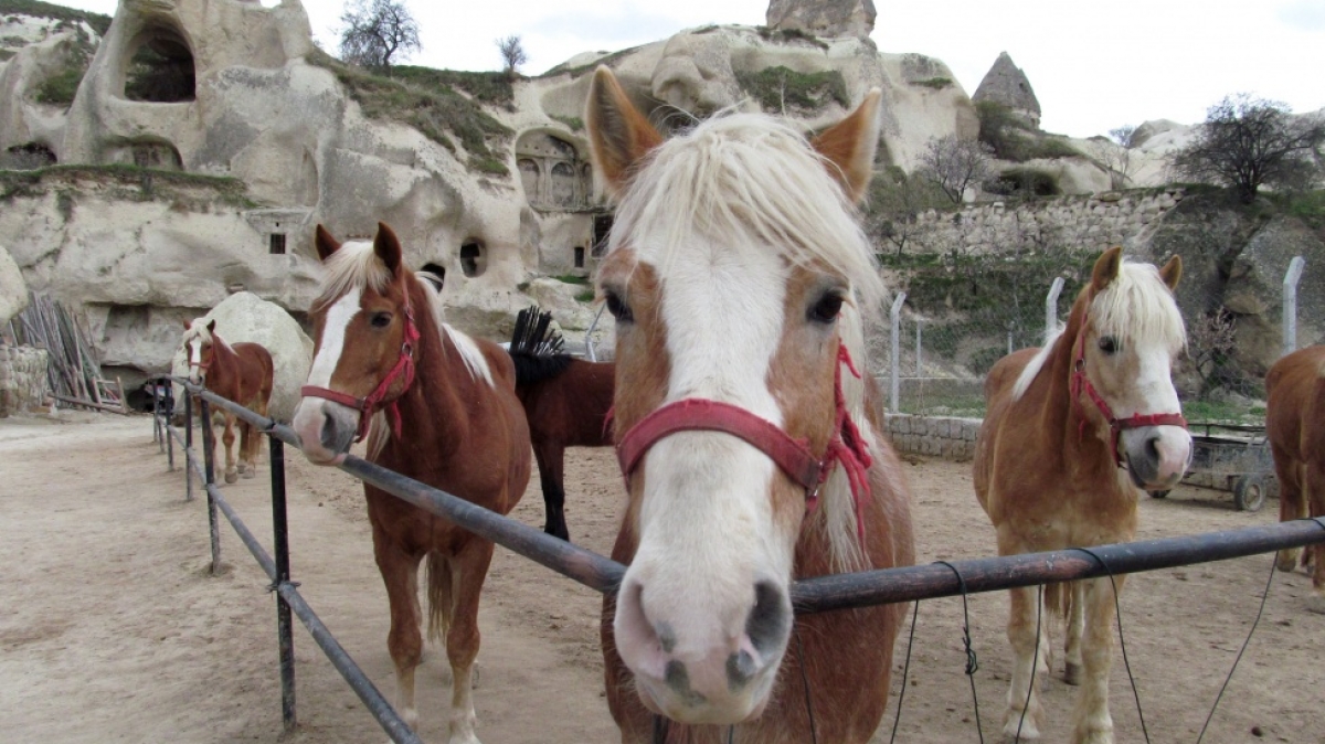 Фото нашего гида Ирины Пряничниковой