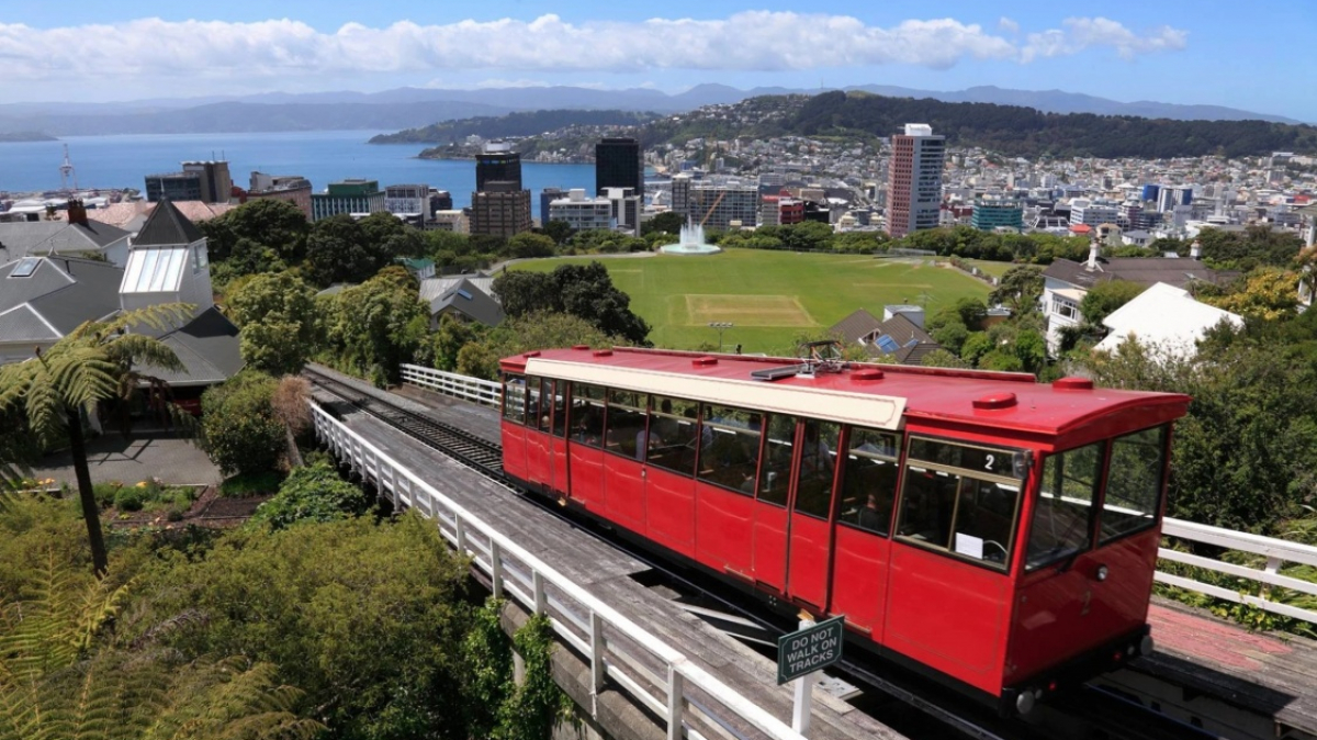 Фото наших партнеров JustGo ThereNZ