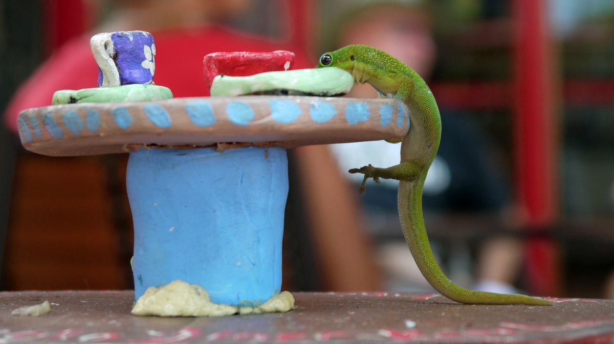 Источник: visualhunt.com