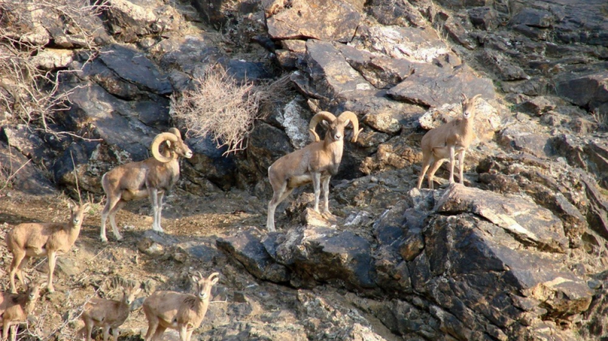 Фото из архива Клуба