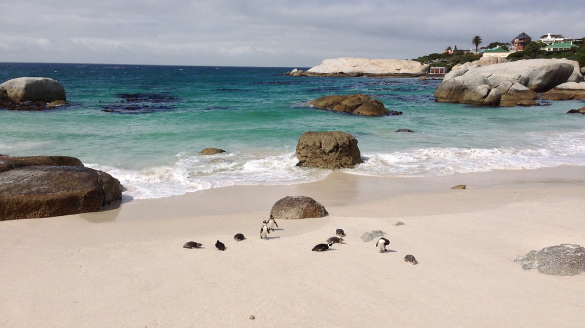 Автор: erdbeernaut, источник: visualhunt