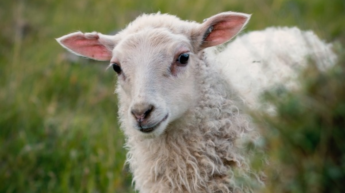 Фото: Luke Hodde, unsplash.com