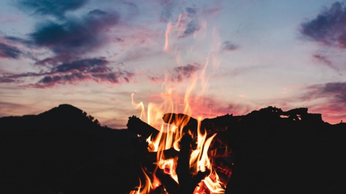 Фото: Iulia Topan, unsplash.com