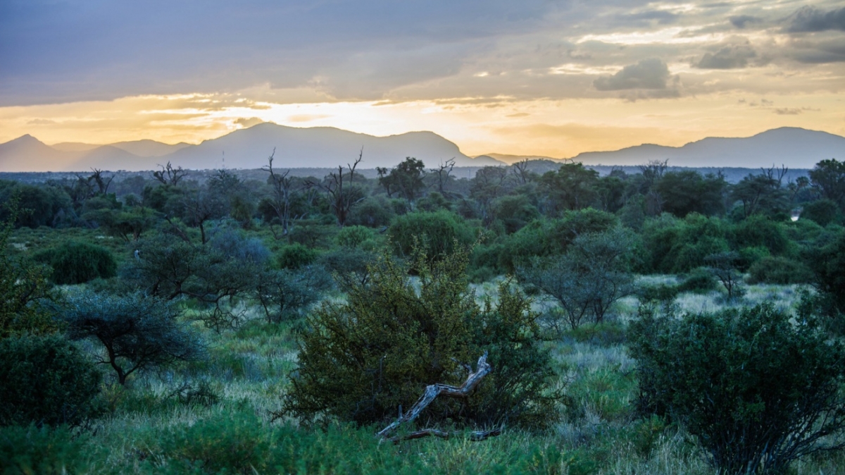 Фото: Ninara, visualhunt.com