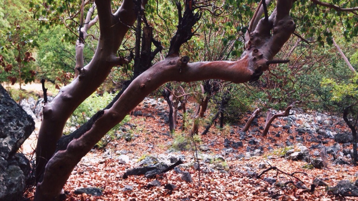 Фото Татьяны Швыряевой