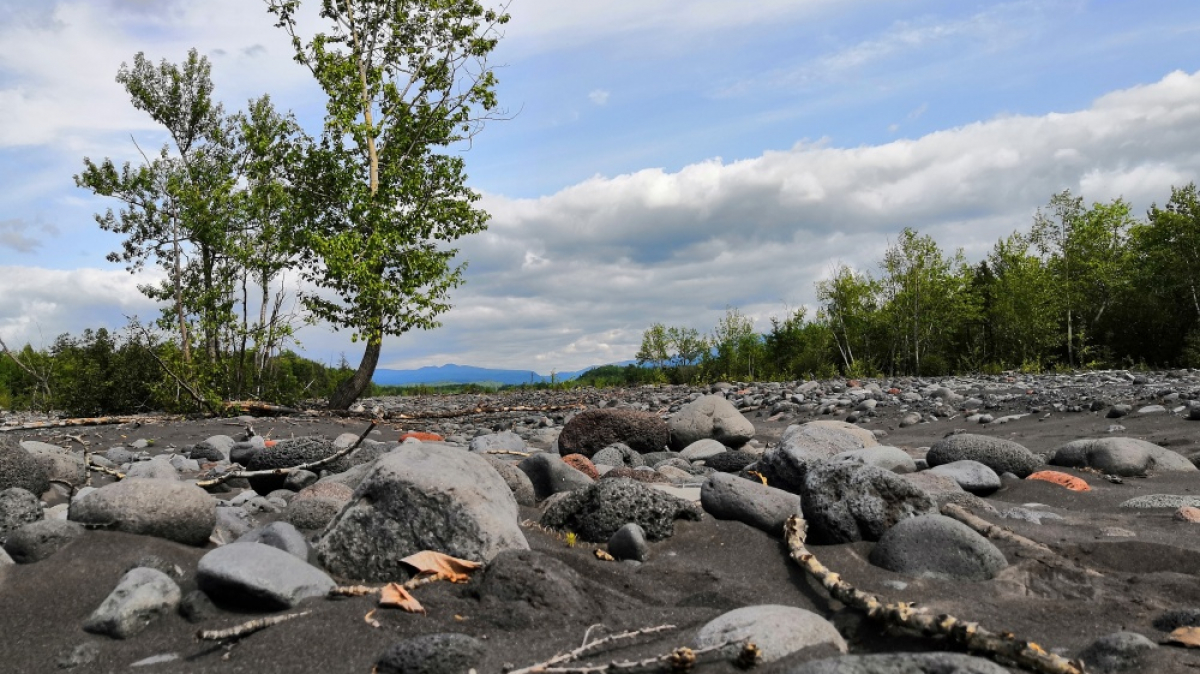 Фото нашей Странницы Татьяны Парцей