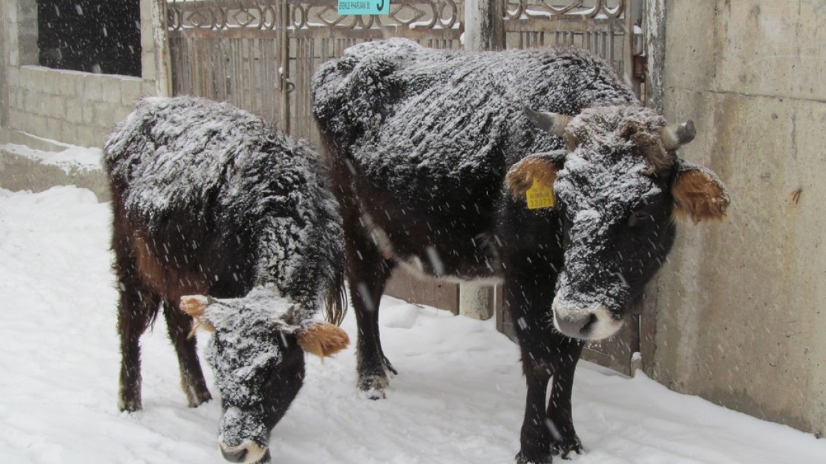Фото нашего гида Ирины Пряничниковой