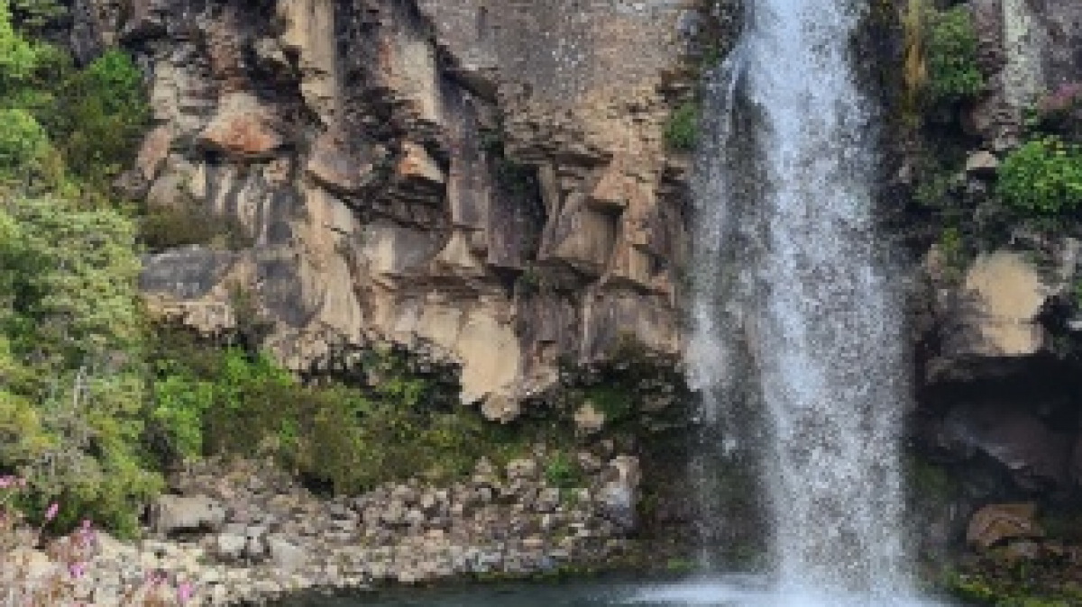 Фото: JustGoThere.NZ