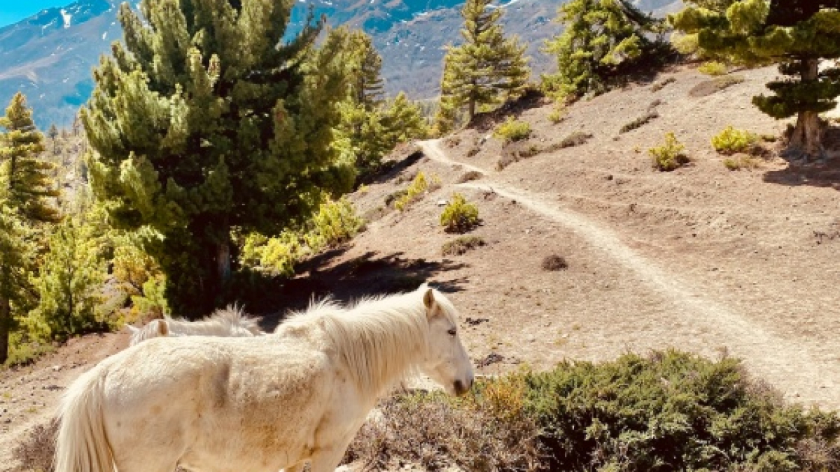 Фото: Prashanth Venkata, unsplash.com