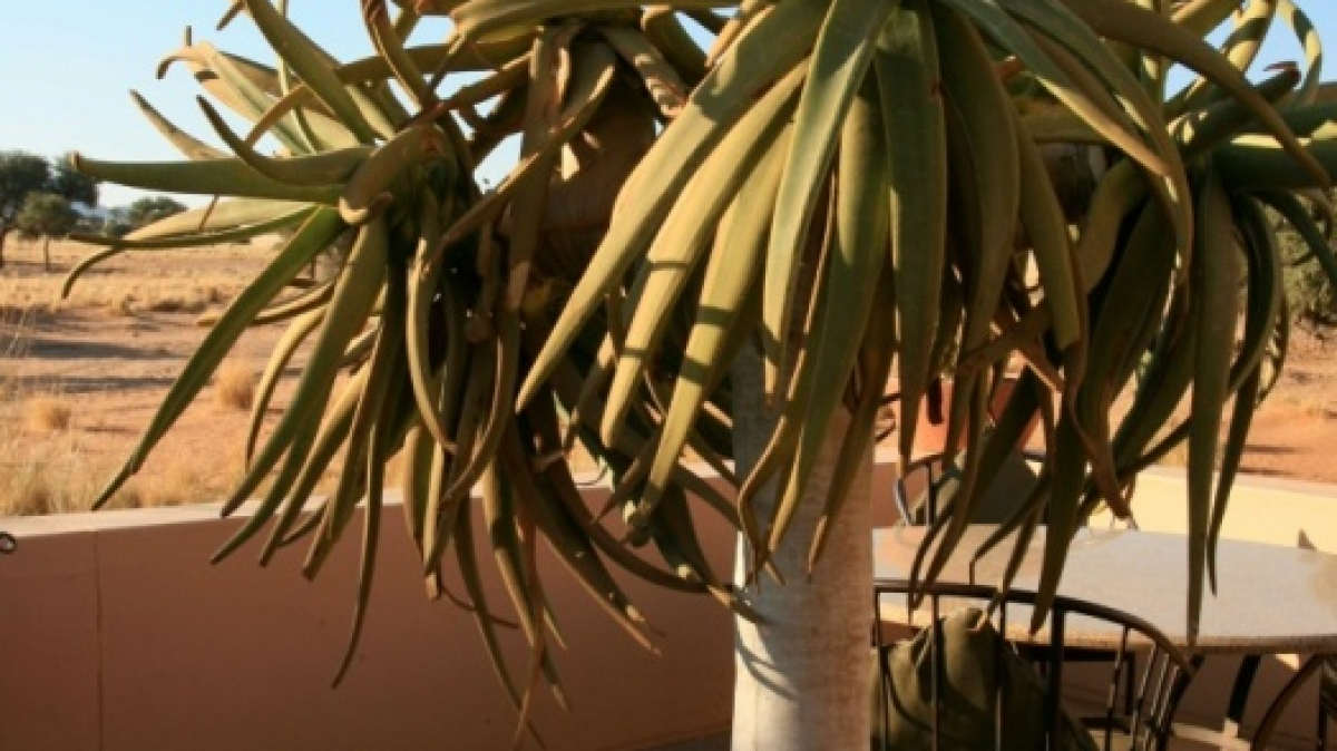 Фото Аmir Мortezaie для Unsplash.com