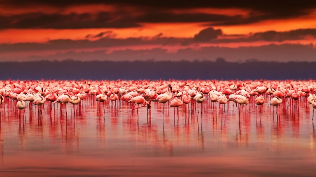 Фото: depositphotos.com