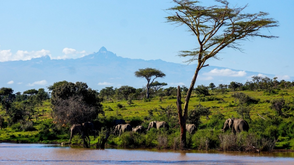 Фото: Leon Pauleikhoff, unsplash.com