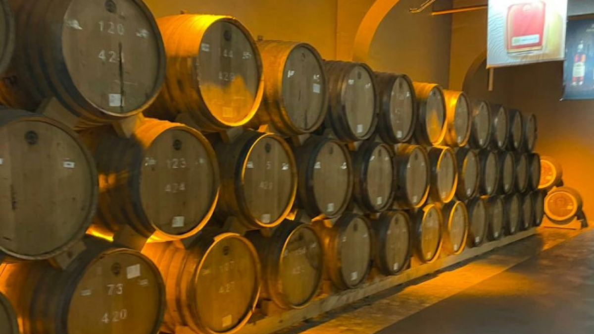 Фото нашей Странницы Эланы Паньковой