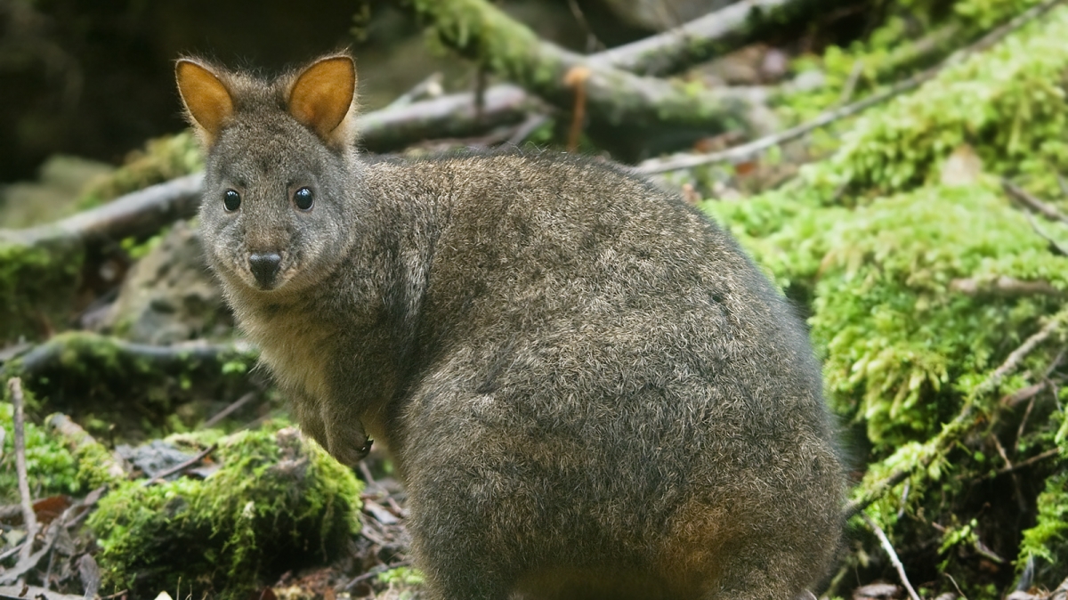 Фото: JJ Harrison, visualhunt.com