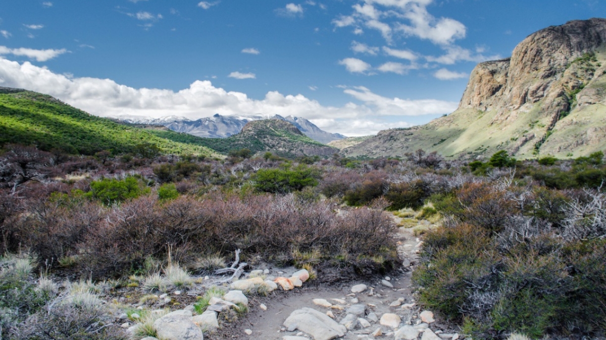 Фото: esmeewinnubst, visualhunt.com