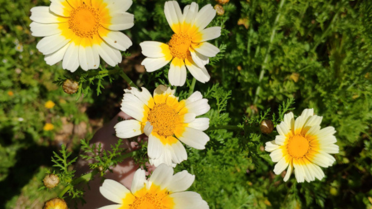 Фото наших Странников