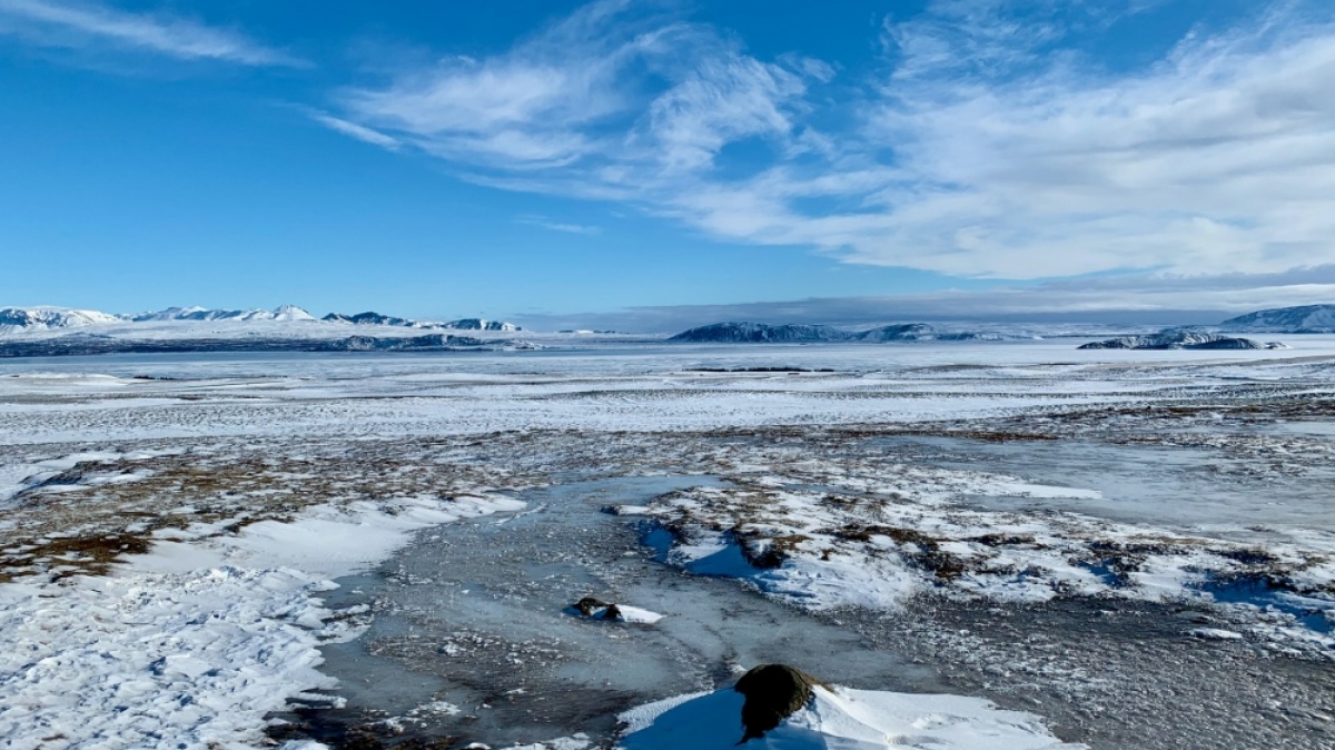 Фото: Agnieszka Mordaunt, unsplash.com