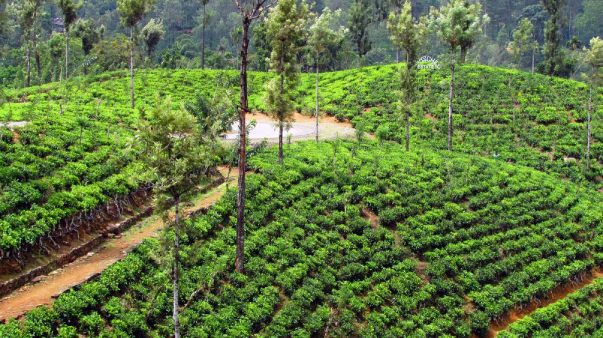 Фото нашего гида Лики Майстровой