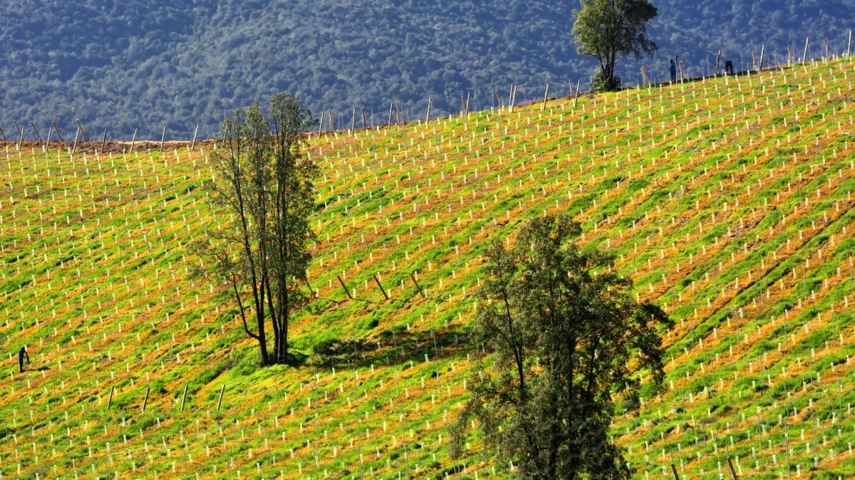 Источник фото: visualhunt.com