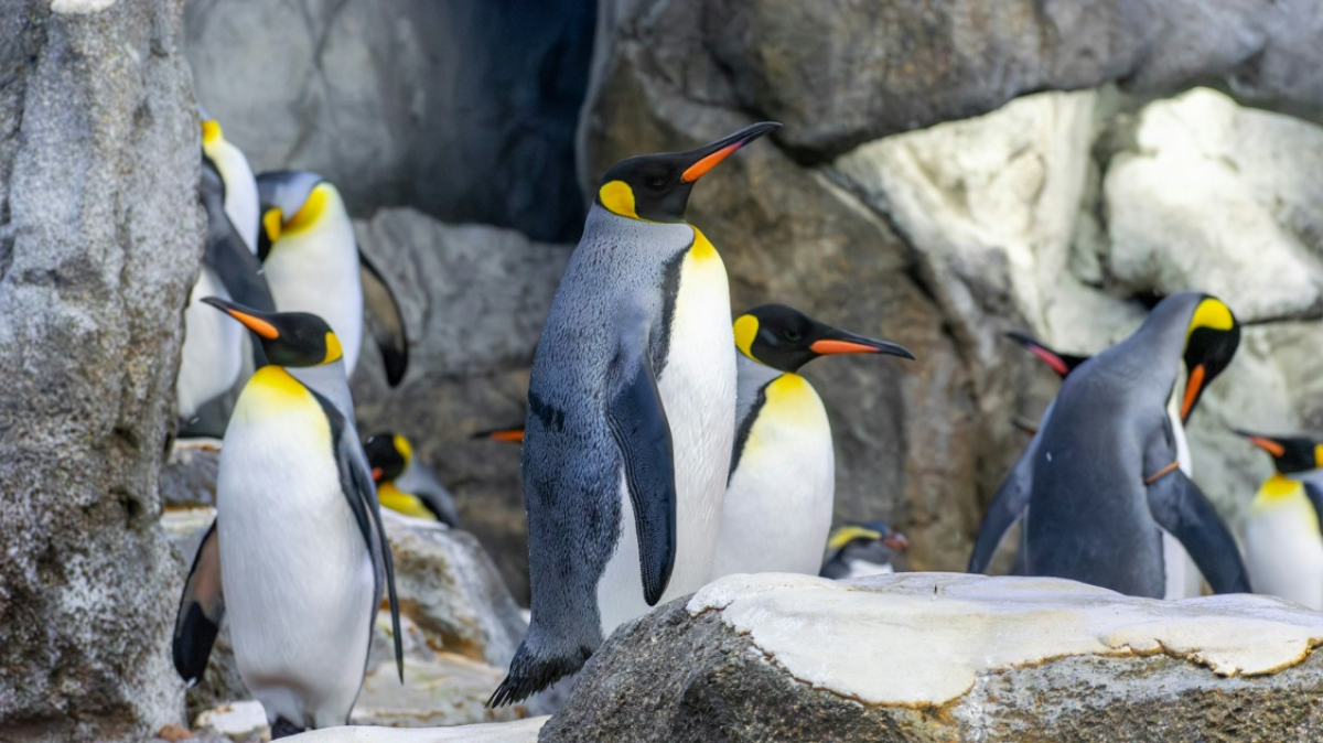 Фото: anastasiya on unsplash