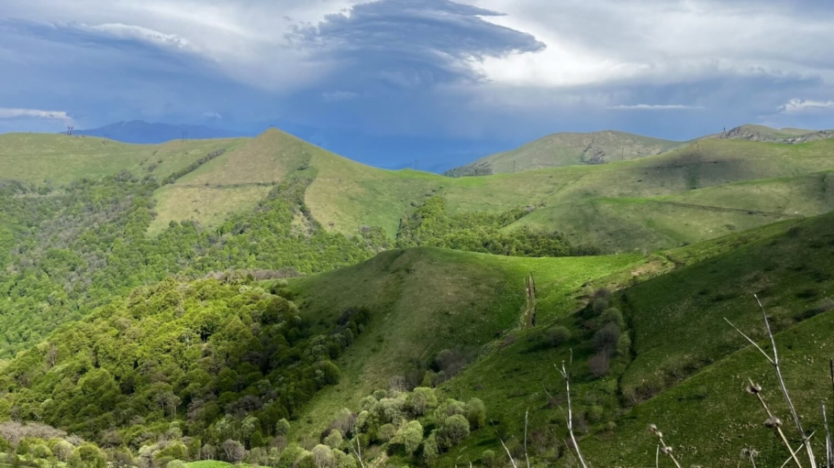 Фото нашего гида Марии Тергоевой